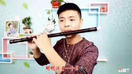 花心-笛子金曲 经典老歌流行歌曲笛子独奏曲系