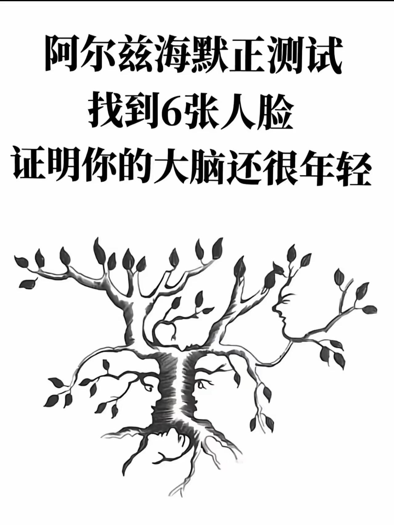 一张树形图暗藏6张人脸，快速找全的人，观察力和大脑状态远超同龄人眼力测试挑战