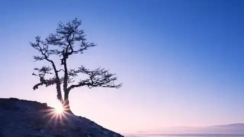 刷到一条高赞帖子，说“别随便插手亲人的因果”，底下几千条附和。我盯着这行字愣