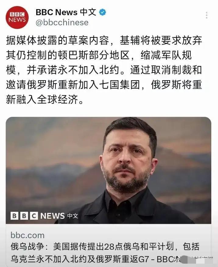 乌克兰给全世界打了个样，这就是给美国做炮灰的下场，吃干抹净、敲骨吸髓，特朗普的2