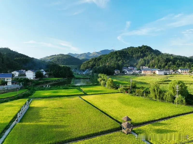 现在网上说的农村不准返乡，是那些自媒体在那瞎带节奏。本来这个11月13日的会，