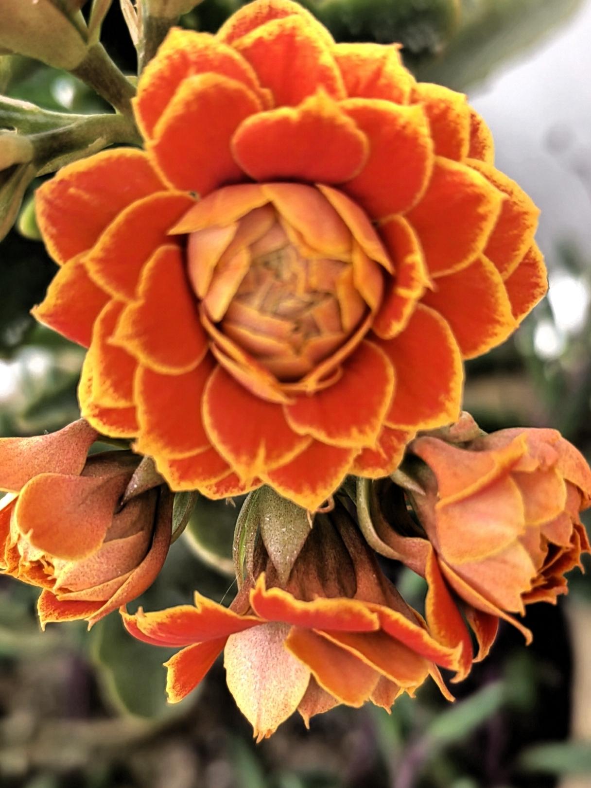 奇闻！九十二岁的老太太，瘫痪五六年了，牙齿早就坏没了，现在竟然冒出了一颗新牙齿