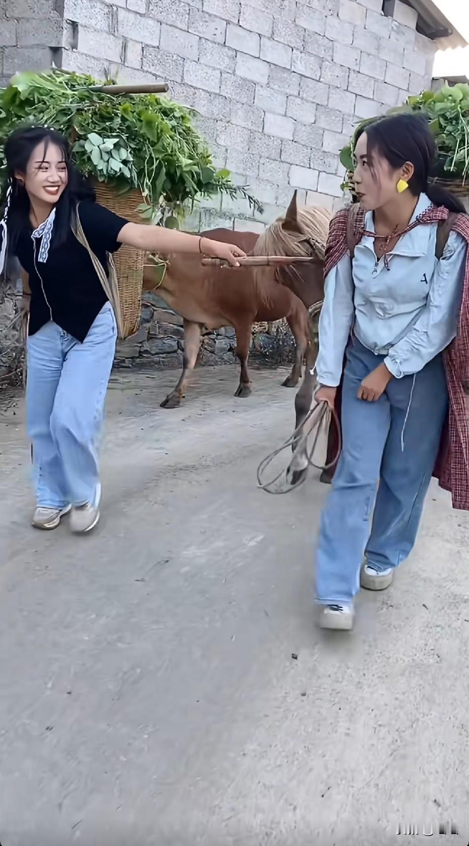 哪个寨子的啊