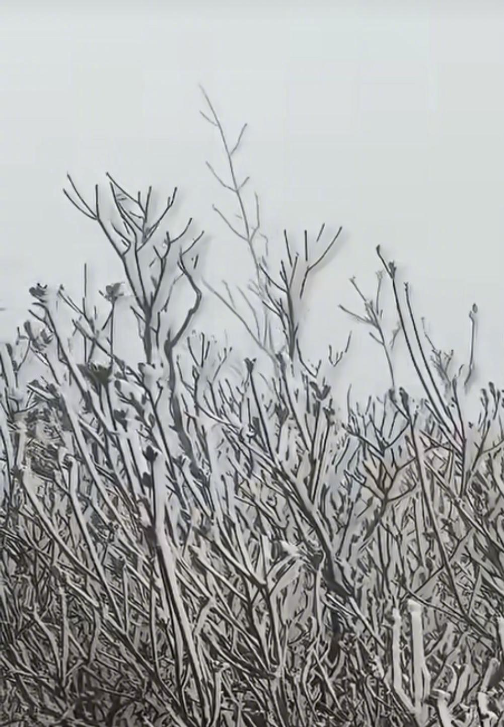 #广东人终于等来了冷空气#【中等强度冷空气席卷广东，日均降温近5℃！金子山出现冰