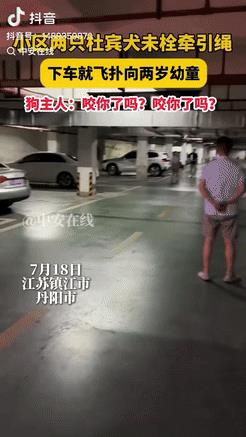 江苏2岁幼童停车场遇未拴杜宾犬惊魂！狗主嚣张反问“咬你了吗”，禁养争议引爆全网
