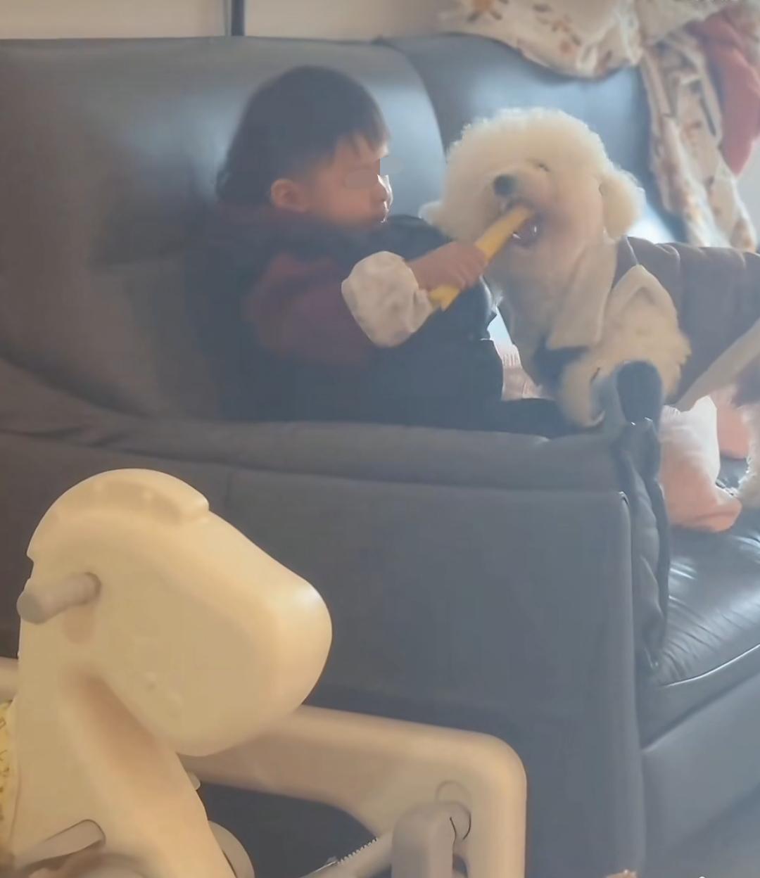 近日，云南昆明。一位宝妈拍下了儿子和宠物狗共享零食的视频，并上传至社交平台引起热