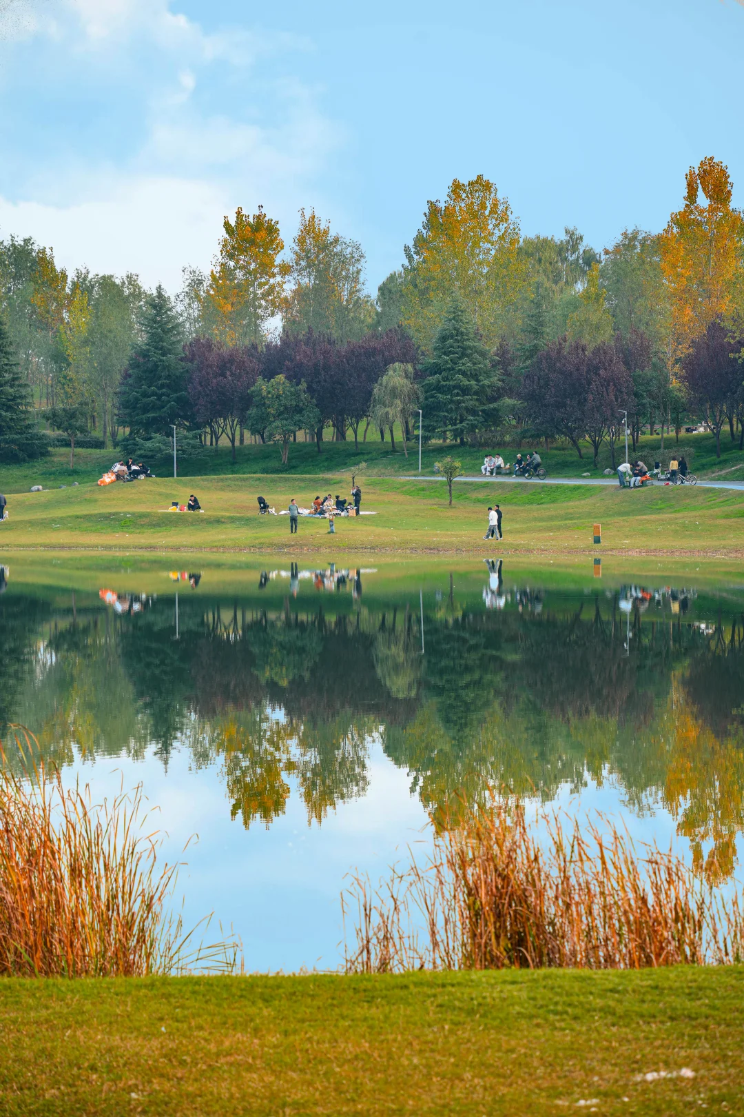 西安人有自己的阿勒泰…秋日氛围感拉满！