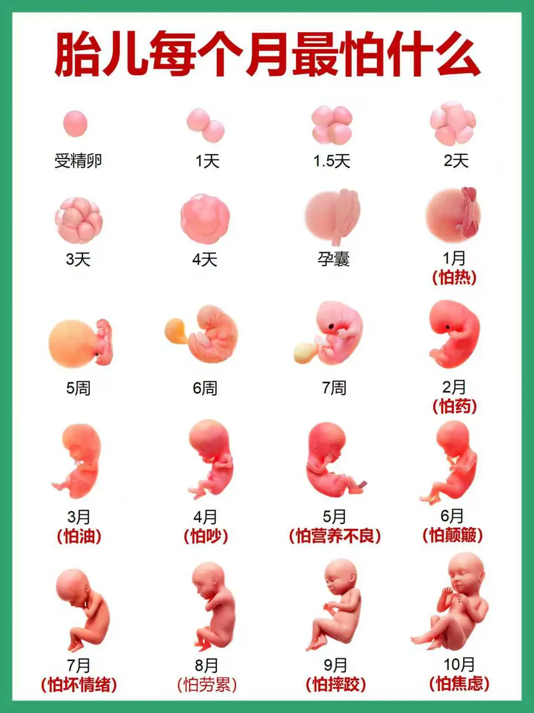 孕期每个月胎宝宝最怕什么？准妈妈要牢记