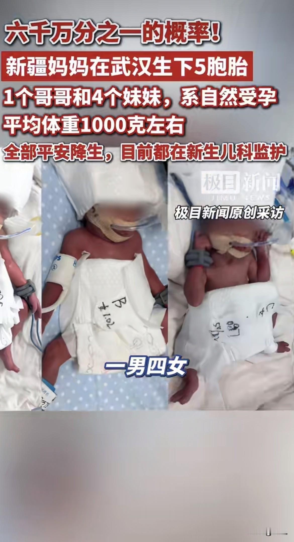 家人们，今天凌晨武汉出了一件大事，有个24岁的新疆姑娘，一口气生了五个娃。昨