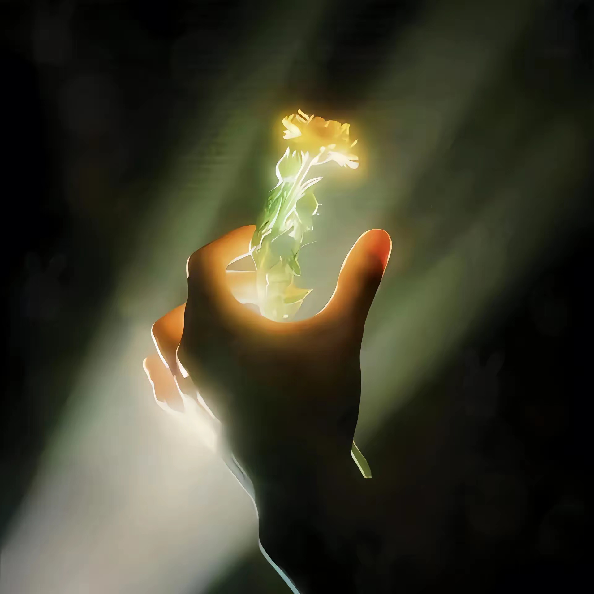 [2025]静能养心，动能养身，