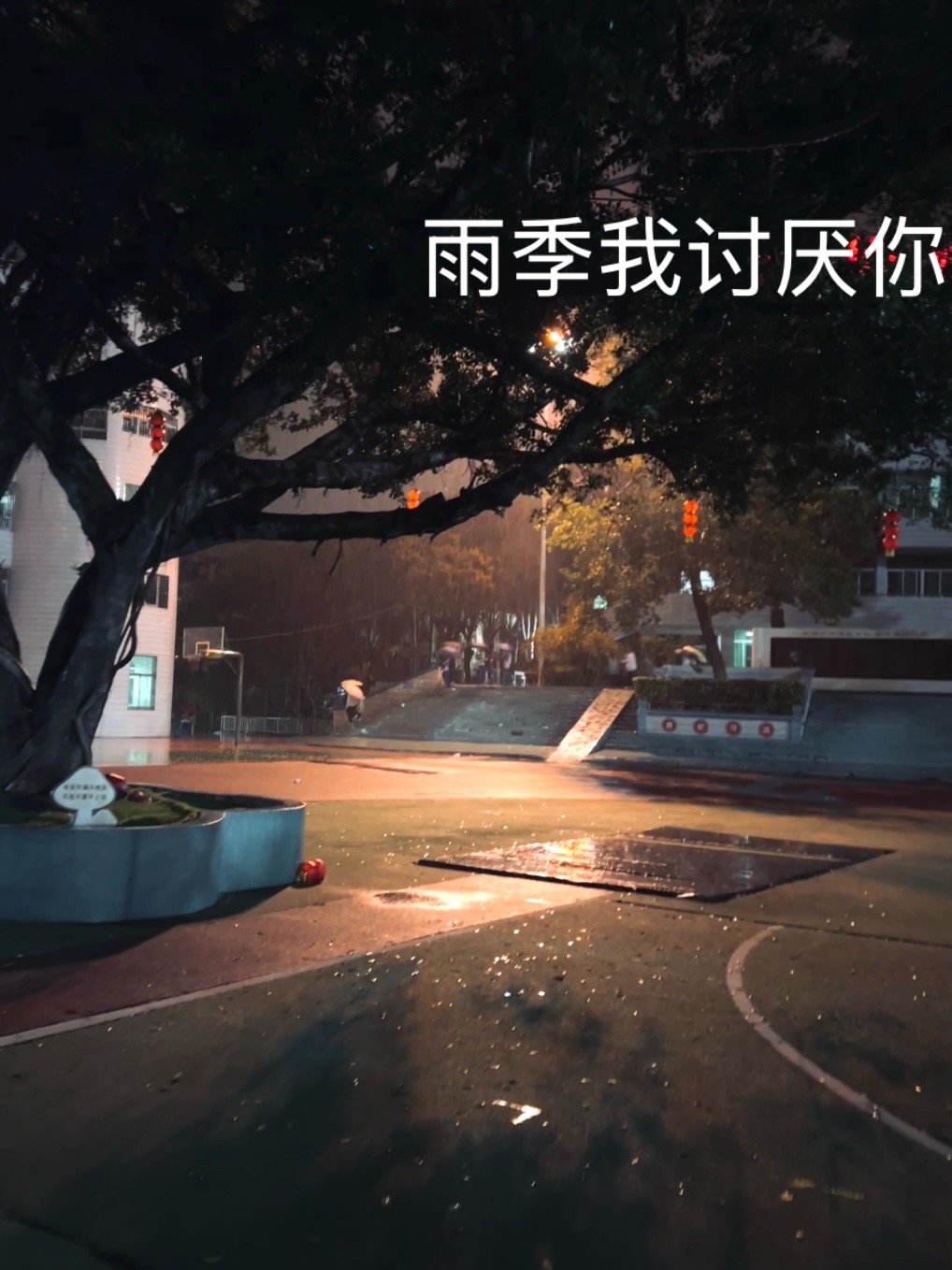 实习日记4.0人生还长着呢人还生长着呢