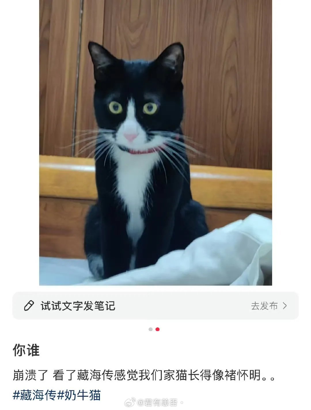 哈哈哈，藏海传已经传到动物界了吗？​​​