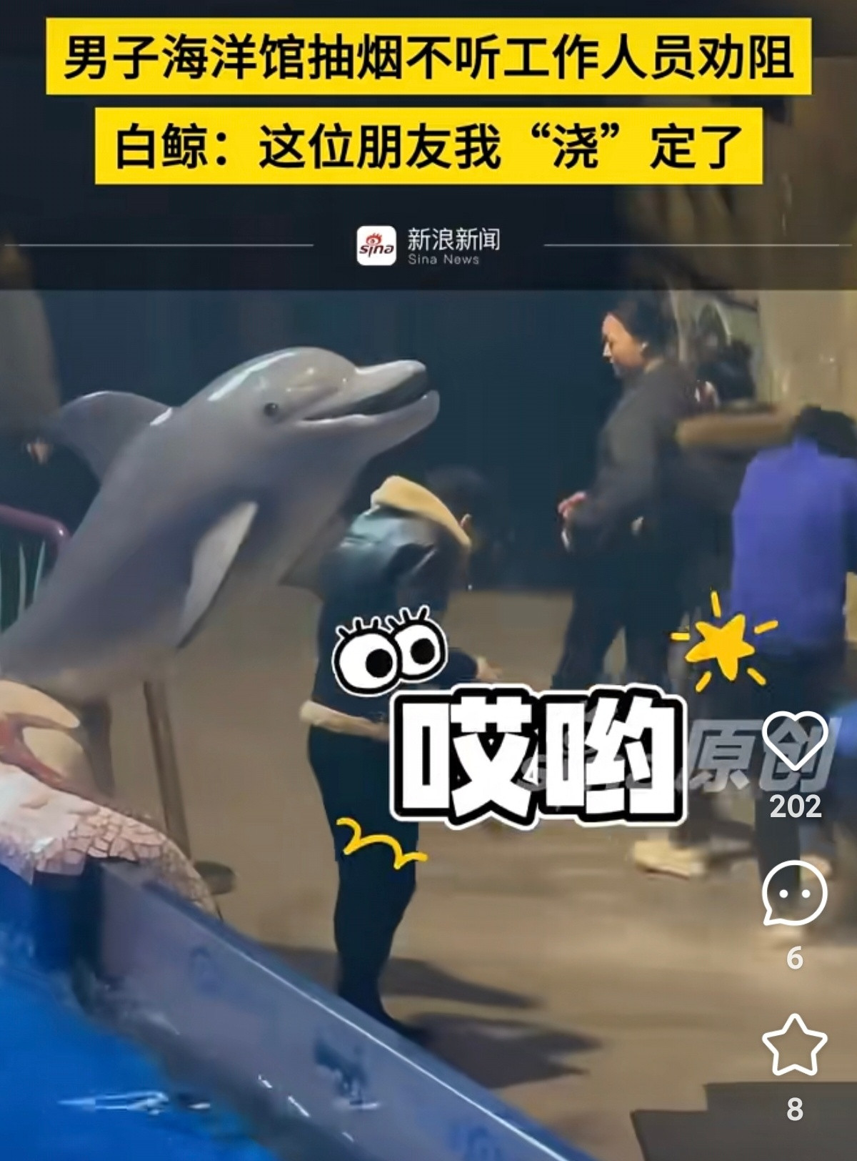 这烟瘾是有多大，在海洋馆都不能管好自己的嘴，真的是动物都嫌弃烟人