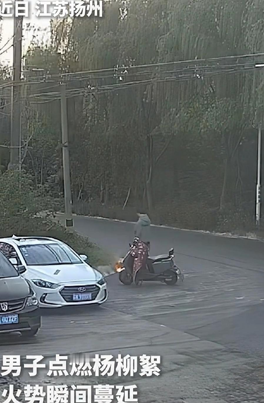 近日，江苏扬州高邮。路边的杨柳絮随风飘荡，把路面铺就得白花花的一片。一男子在路边