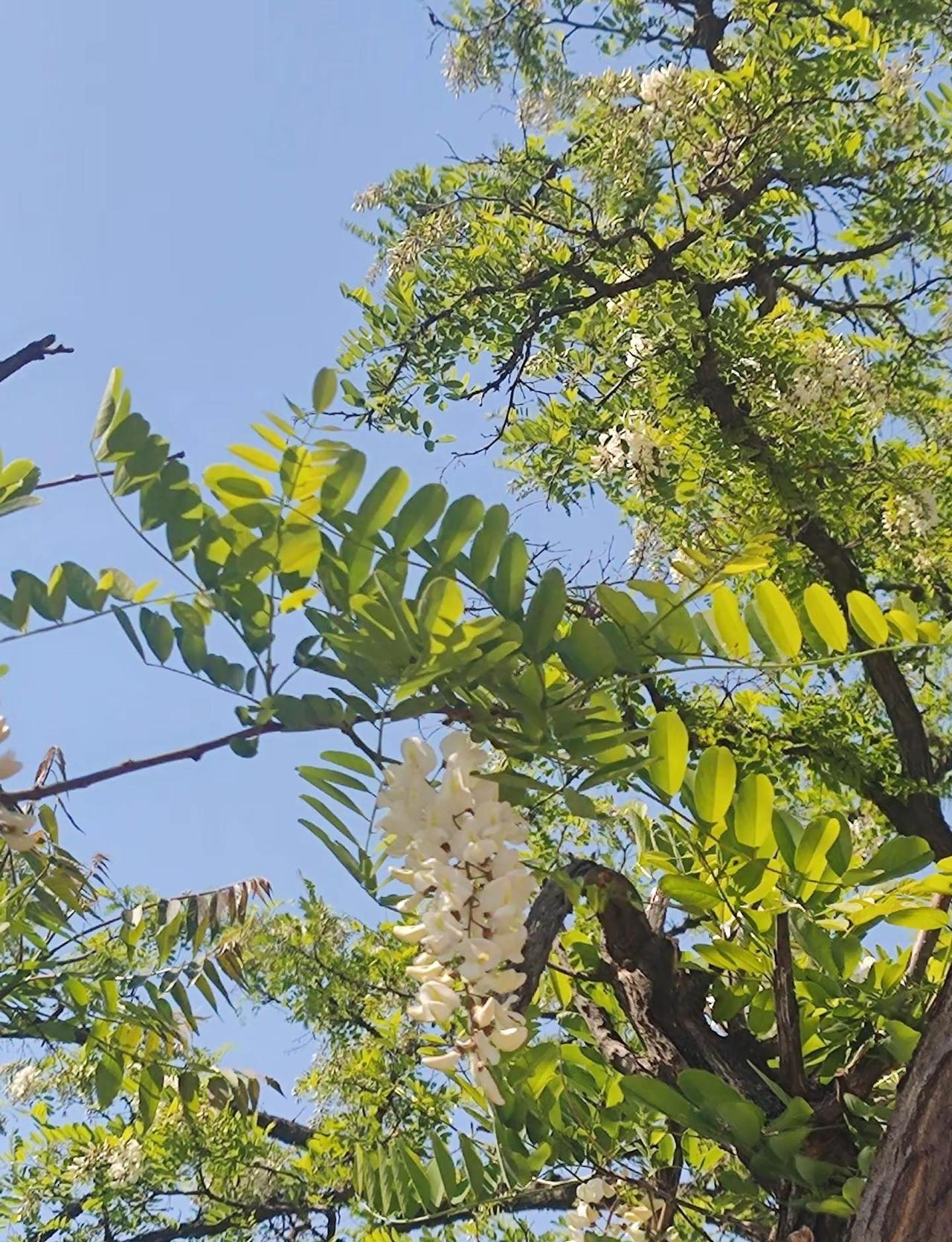 好好好行行行是是是对对对都能理解都能接受都能放下都能过去都不重要