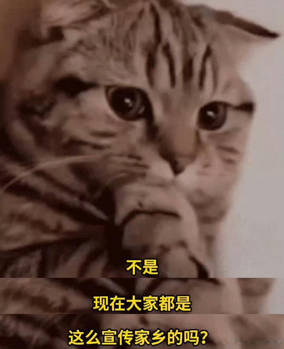 原来大家都这么宣传家乡贵阳人宣传家乡会“偷换概念”!把甲秀楼拍得古色古香,配文