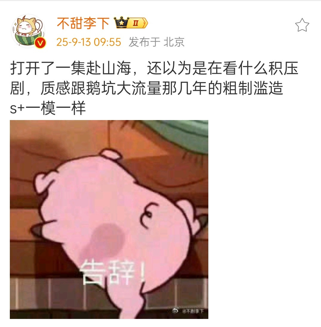 我看到网友说，之所以粉丝那么重视这部剧，是因为瑞投了大钱，想要靠着钱回款，开新剧