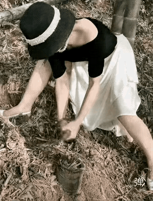 今天说啥都要把这根笋子带走[吃瓜]