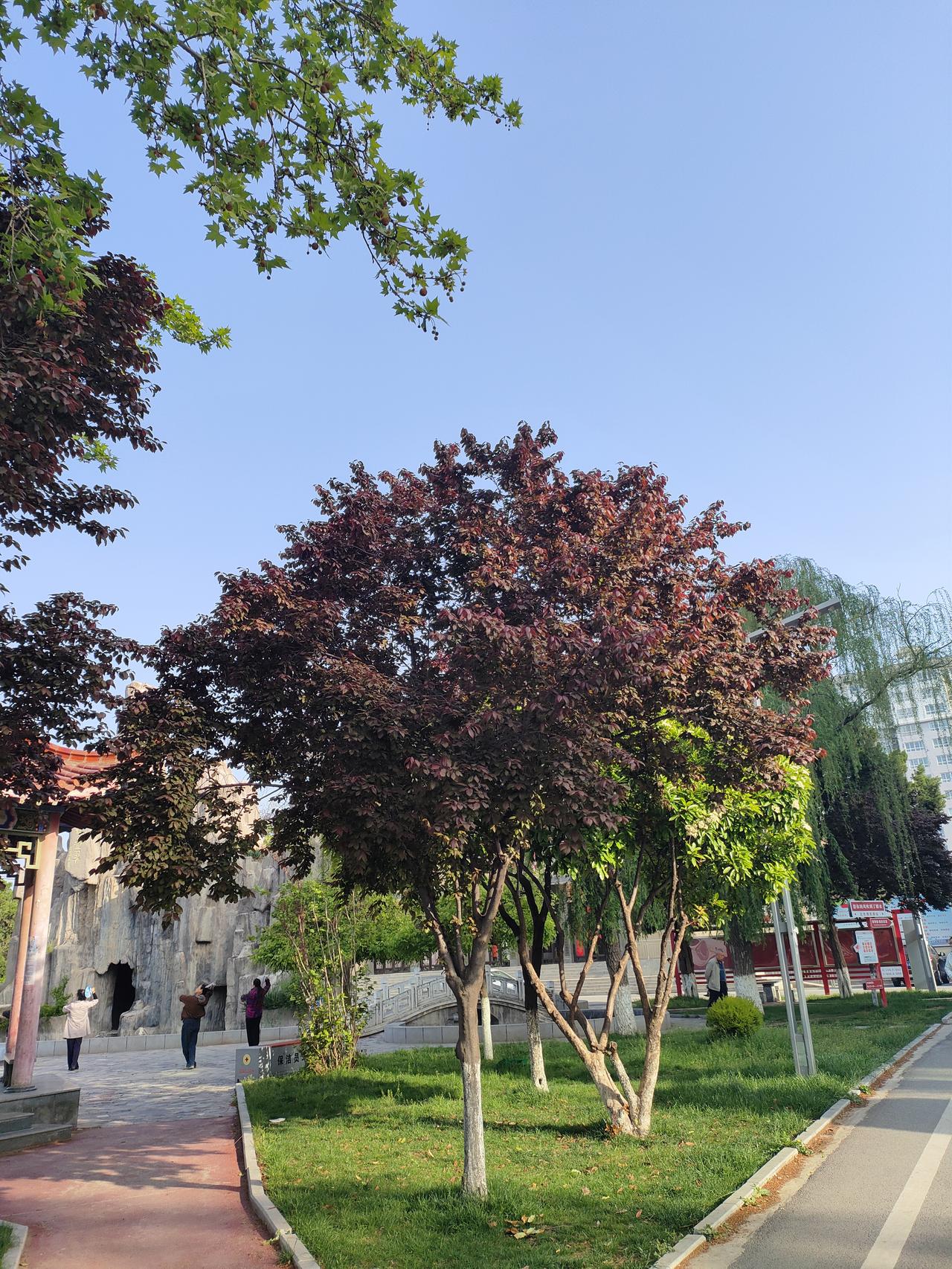 想那么多干嘛，好好生活，开心最重要人这一辈子，活到一把年纪才真正明白，日子