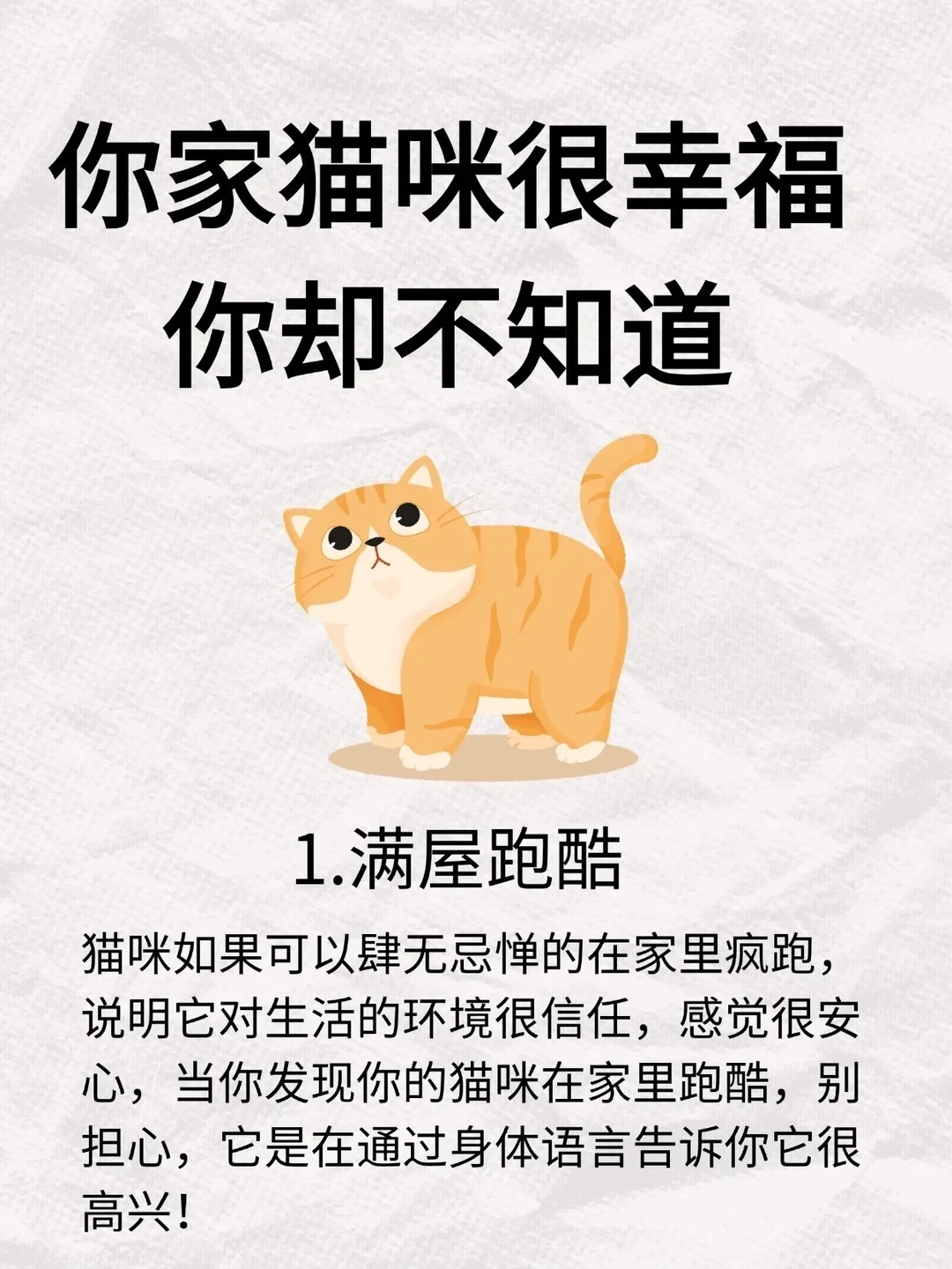 你家猫咪很幸福，你却不知道