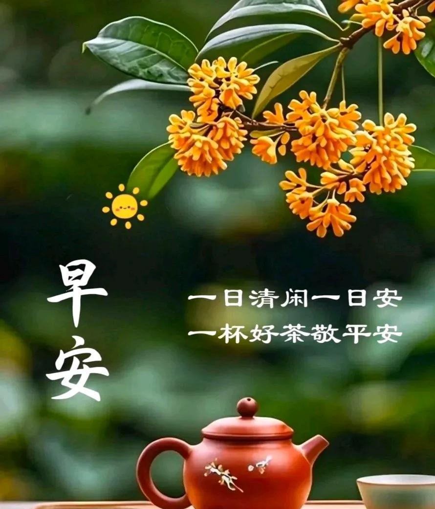 [玫瑰]早上好[玫瑰]一日清闲一日安一杯好茶敬平安盛夏多保重，祝福送健康。