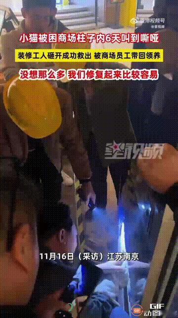 江苏南京一处商场内，几位装修工人在工作时，突然听见一根石柱里传来了小猫的声音，商