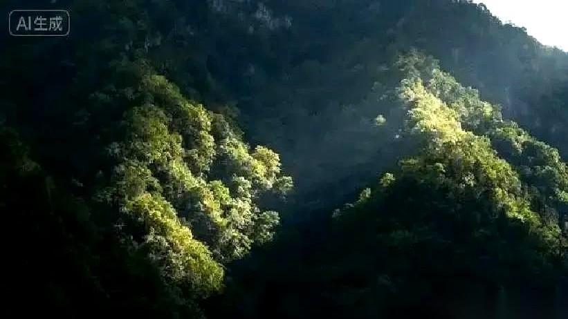 他拿着奖金，规划着旅游和见家长，高兴得像个两百斤的孩子。手机那头，她回了俩字：