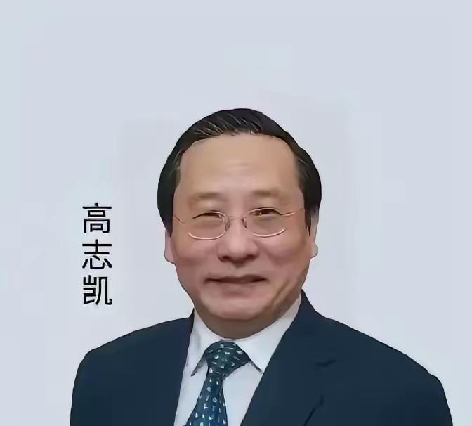 刚看了高志凯在澳大利亚一档节目上的发言，说实话，真把我看精神了。澳主持人上来
