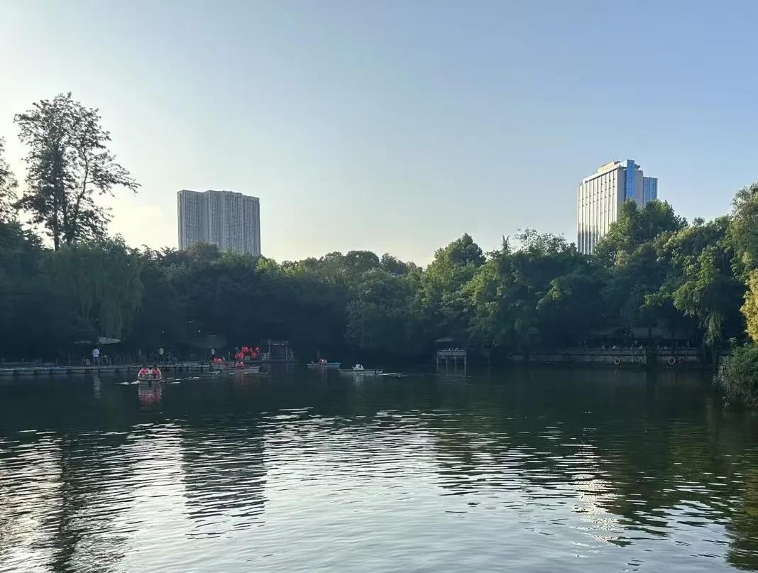 大区经理，股东之一的小姐姐，在会上发飙了，言辞犀利，毫不留情，我都觉得尴尬。上