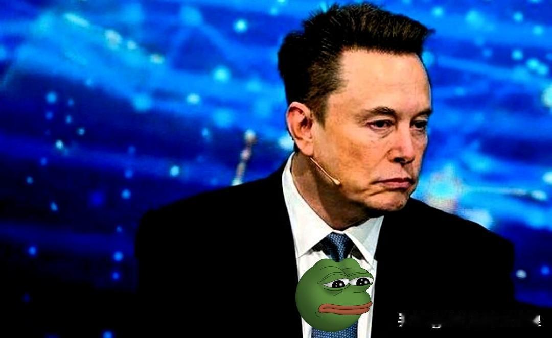 马斯克这一嗓子，算是彻底把“体面”给摔地上了。那个造火箭、玩脑机接口的硅谷钢