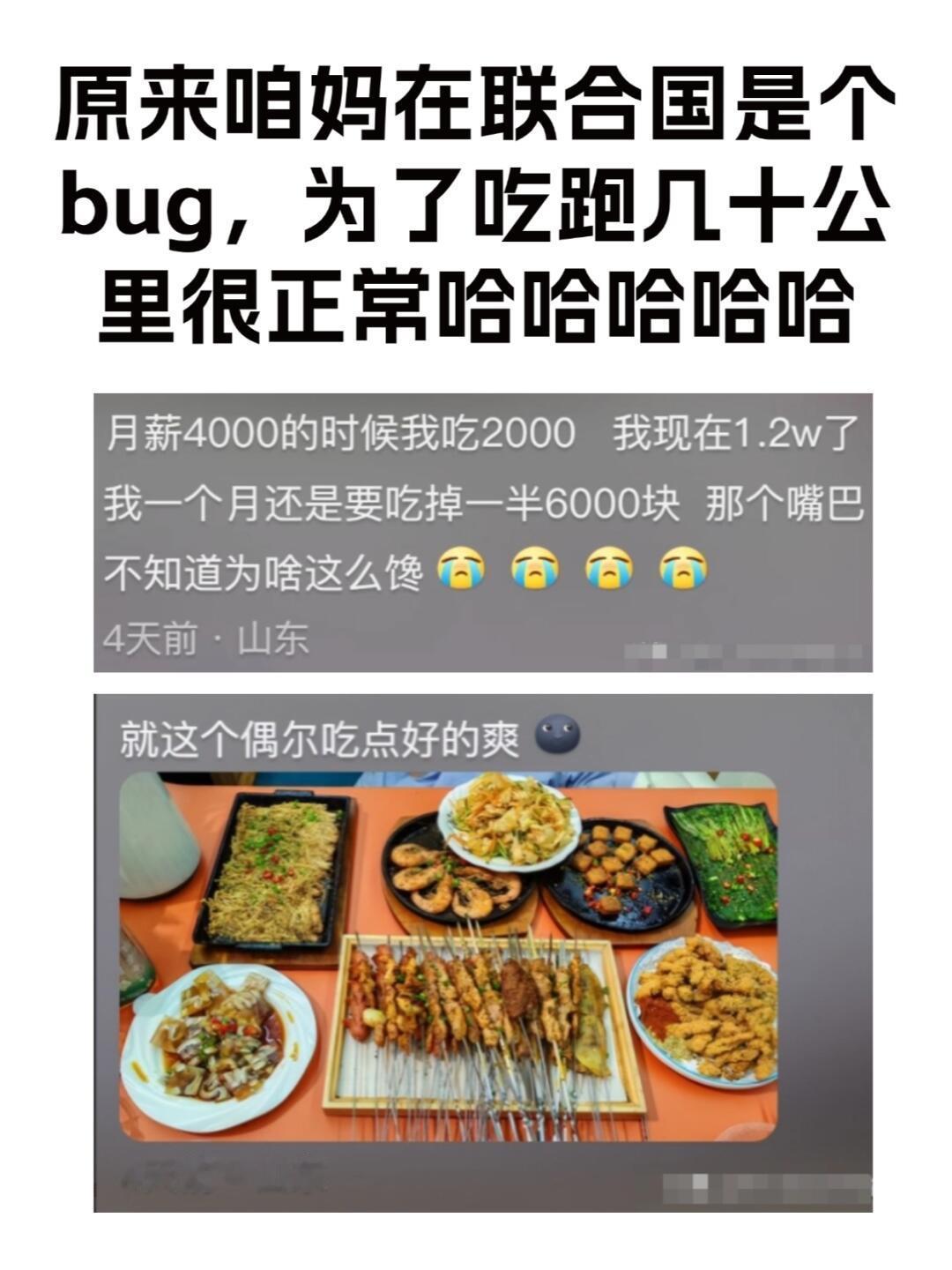 现在才知道，原来咱妈在联合国是个bug啊