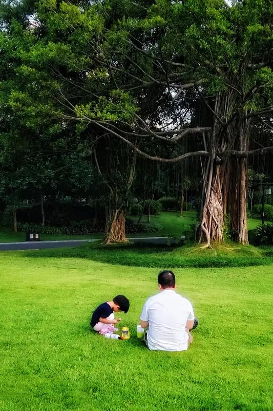 都说“一个男孩的命，看他的父亲就知道”。这句话听起来或许有些绝对，却道破了家庭教