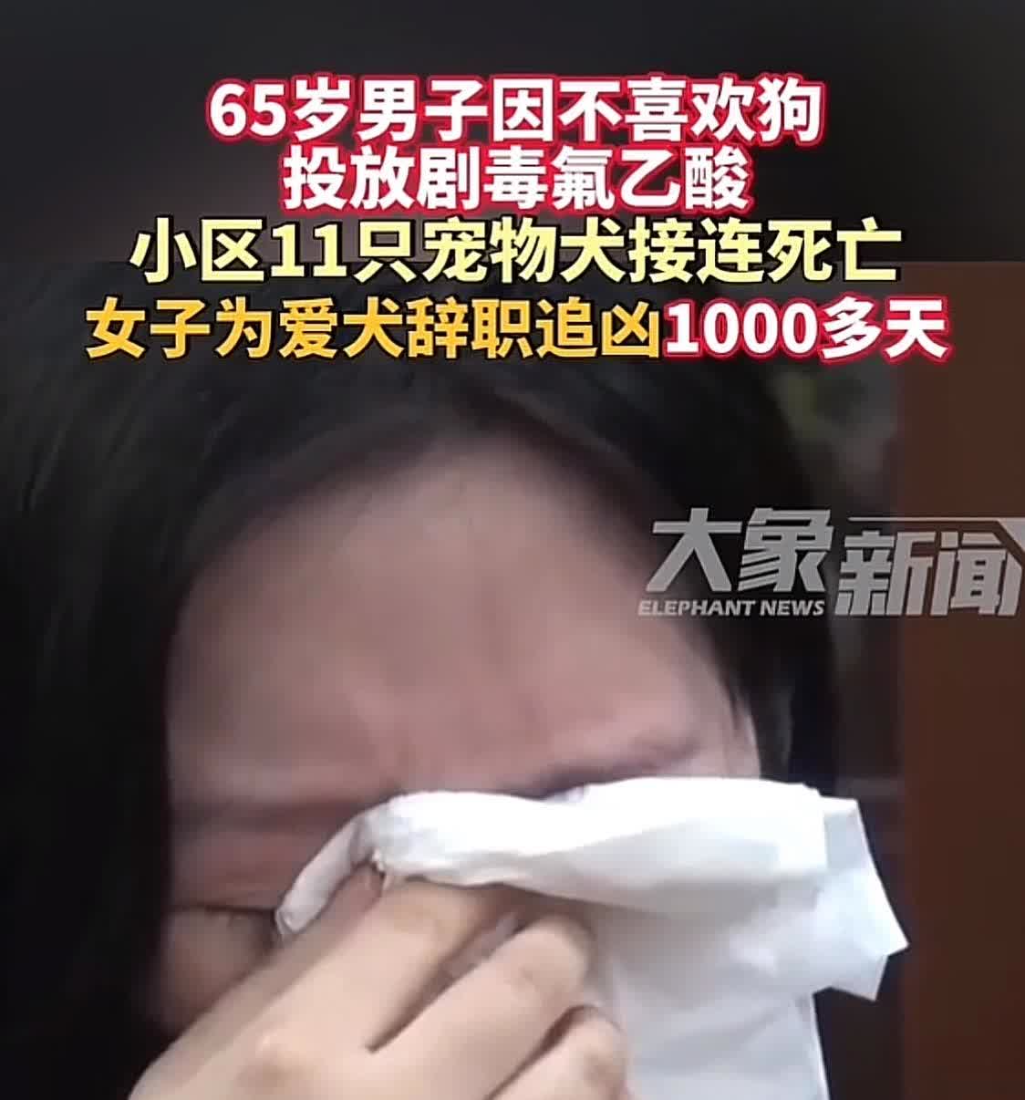 女子为爱犬辞职追凶1000多天，佩服女子的勇气和坚持！宠物狗对她而言，应该有特殊
