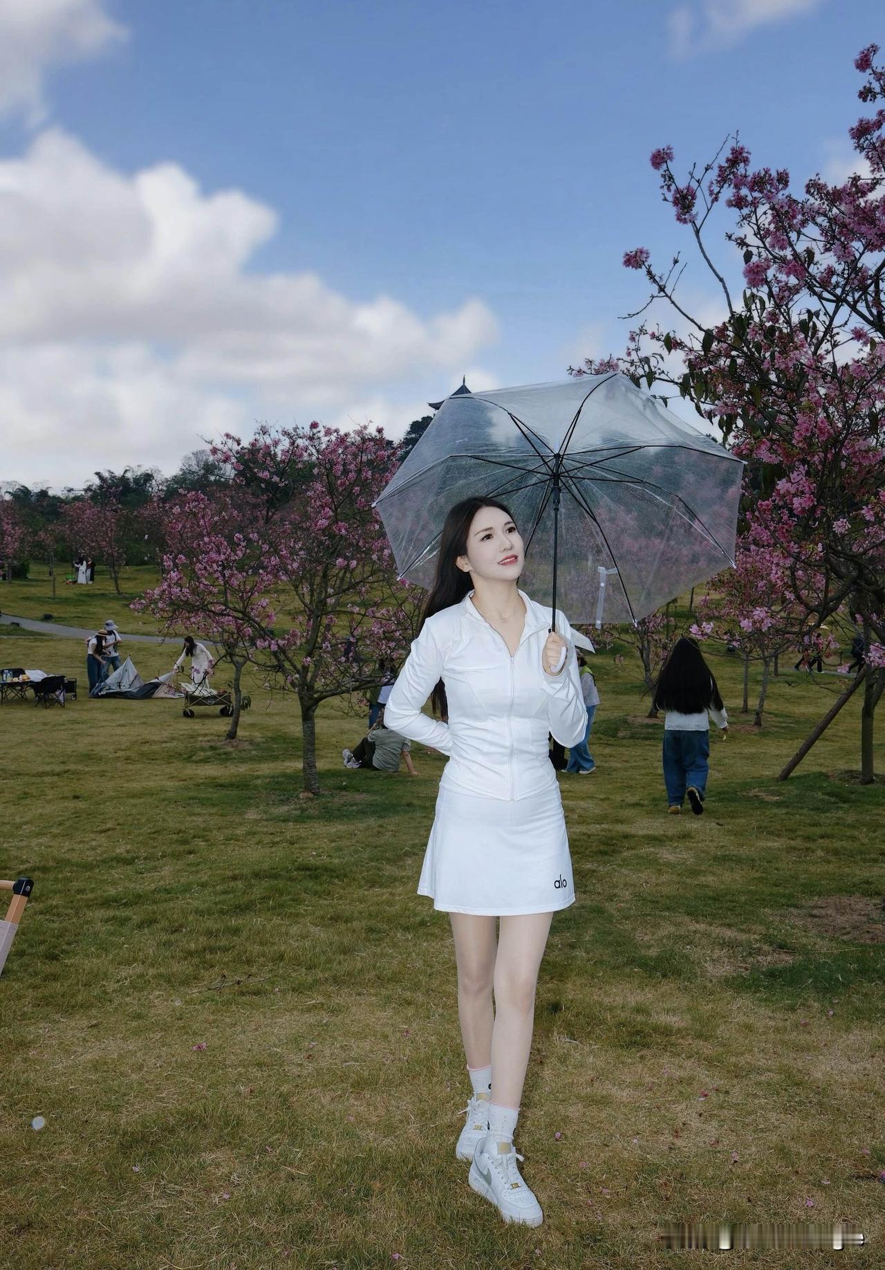 樱花树下，静享阅读时光