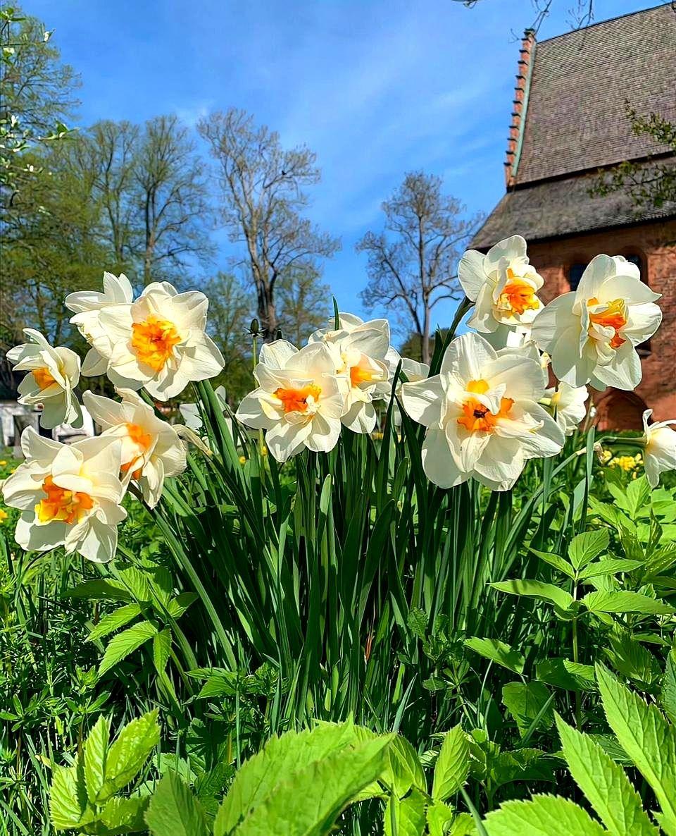 兄弟姐妹四人，只有我，有点不孝，嗷嗷地跟爸妈吵架。我妹妹常年陪伴，我弟弟有事就