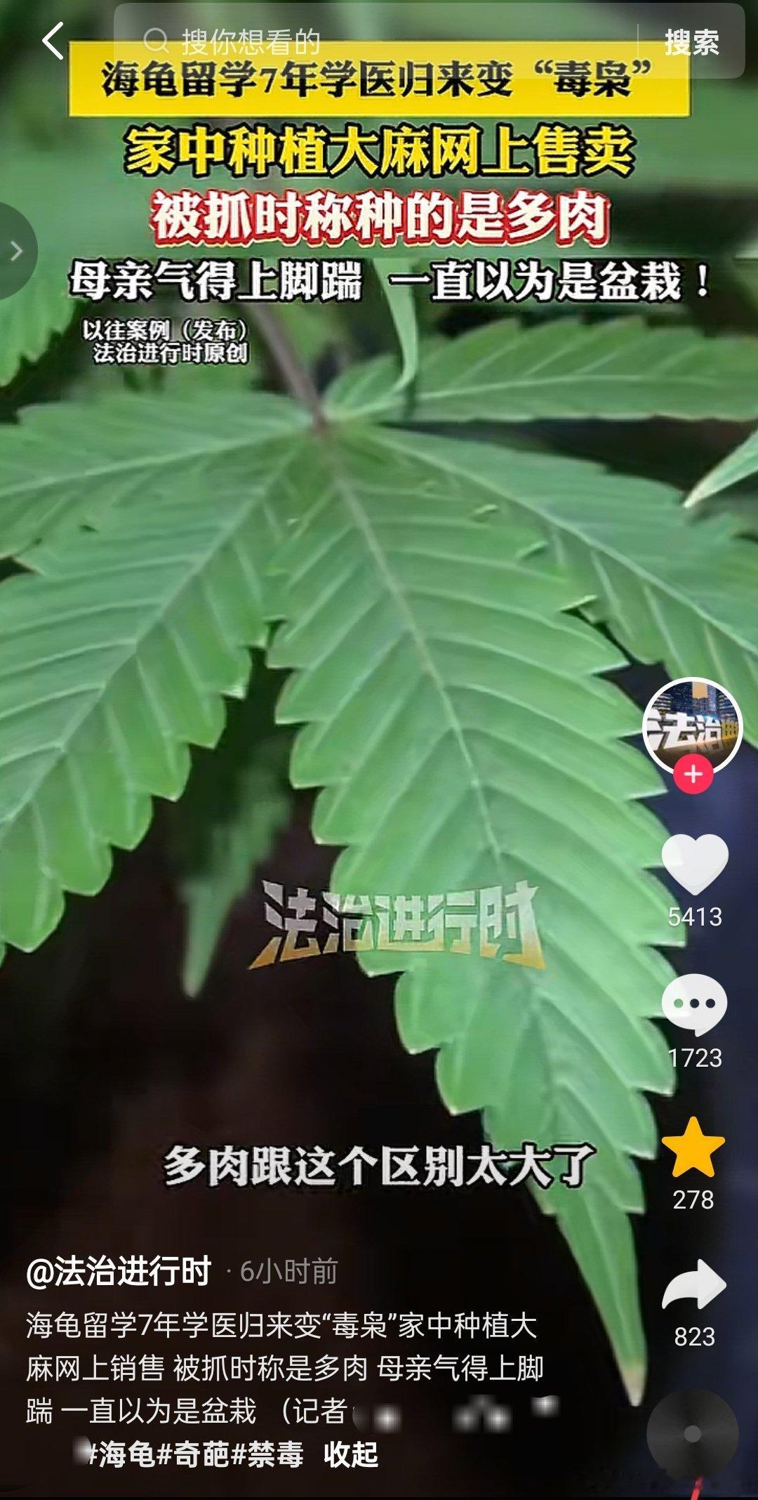 媒体：海龟留学7年学医归来变