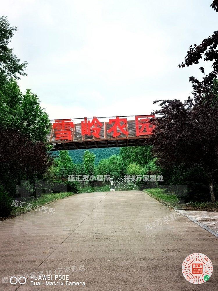 夏天来陕西秦岭避暑，首选宝鸡太白，凉快得像天然空调房，可一到旺季县城营地挤得满满