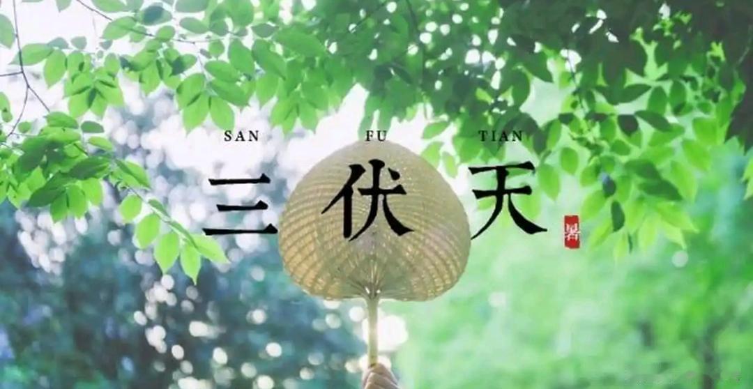 2026年三伏天升级版来了！2个坏消息，1个好消息，但这3件事千万别大意20