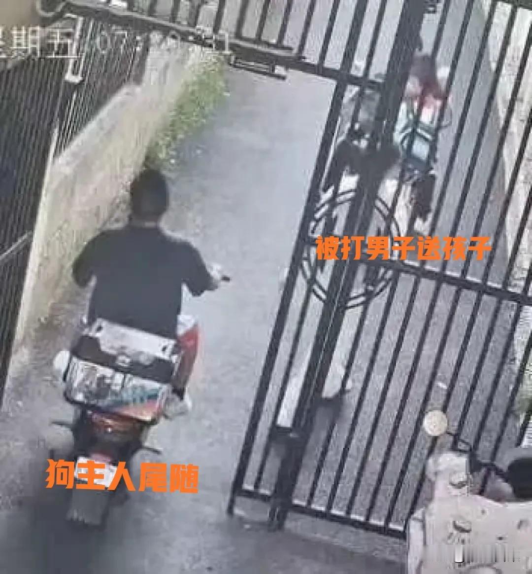 不拴绳还嚣张打人，狗主人已被刑拘！武汉遛狗纠纷事件，5个细节要注意：1、被