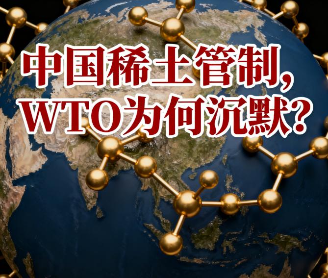大家有没有发现，2014年我们管控稀土出口，美国、欧盟和日本向WTO起诉，最终W