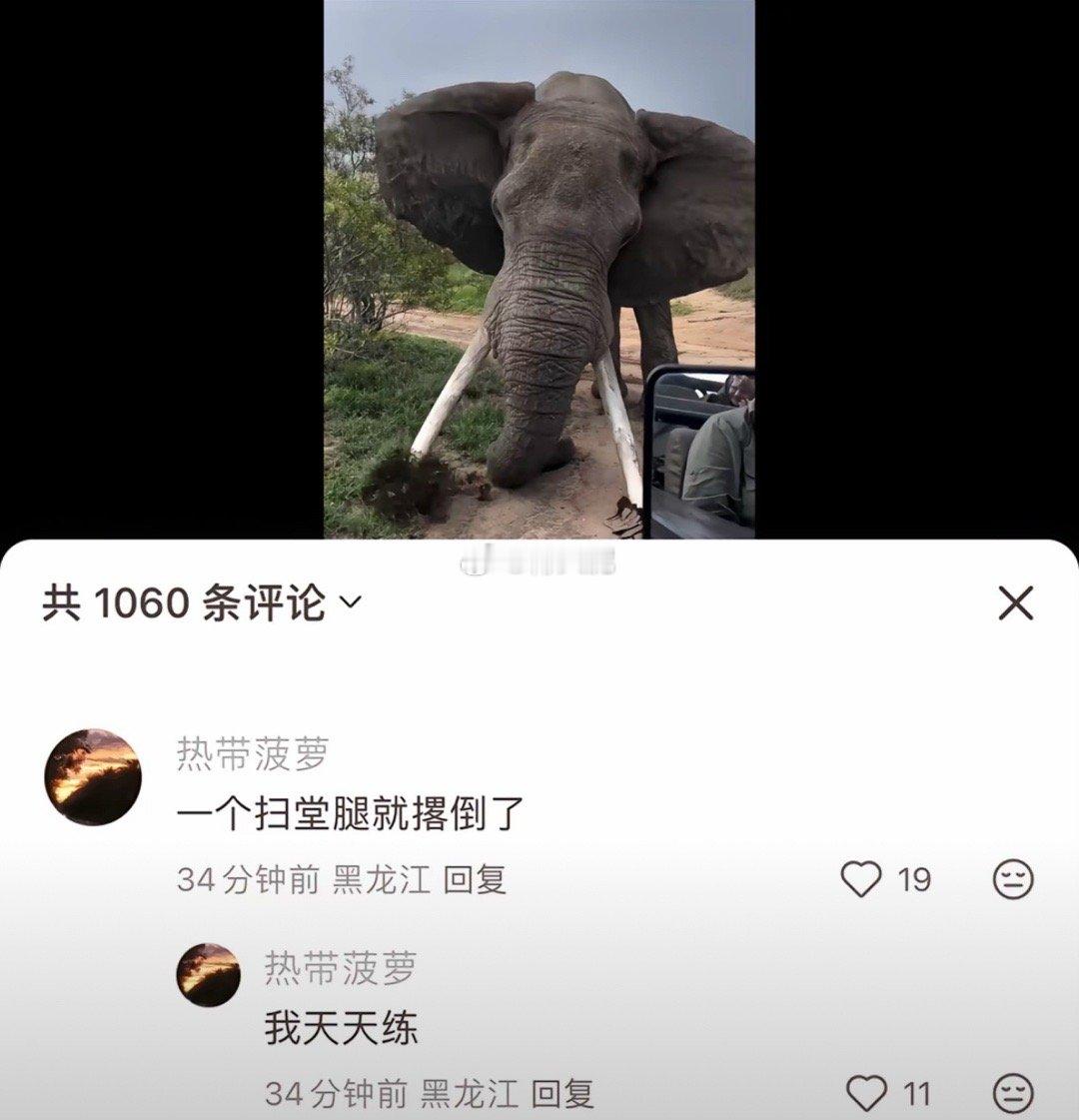 民间艺术观察​​​