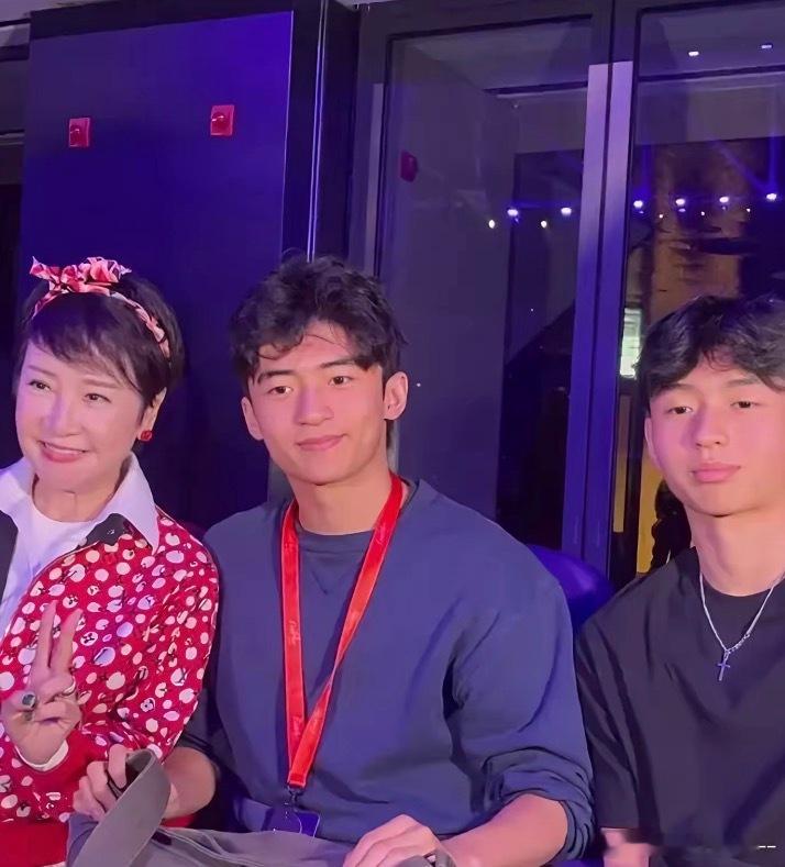 谢霆锋二儿子近照曝光想当年张柏芝抱着小的，拉着大，真不容易，挺伟大的妈妈。