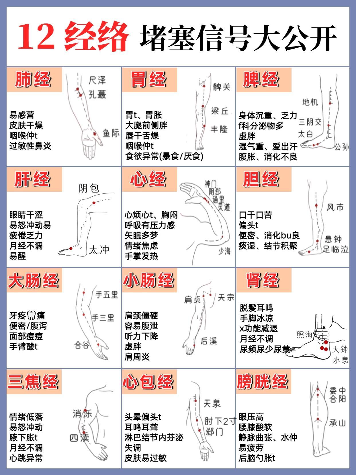 惊！12经络堵塞信号大公开，快自查​​​