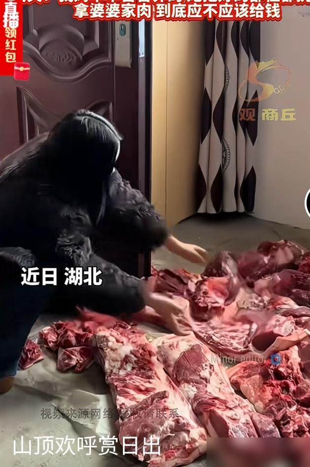 在湖北一婆婆养了一年的猪到年底给杀了。儿媳妇回家挑走了一半。本来是杀年猪的高