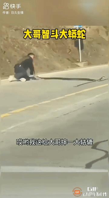 一小伙在路边徒手去捉一条近两米长的黑蛇。黑蛇极为暴躁，察觉到小伙的意图后，小伙费