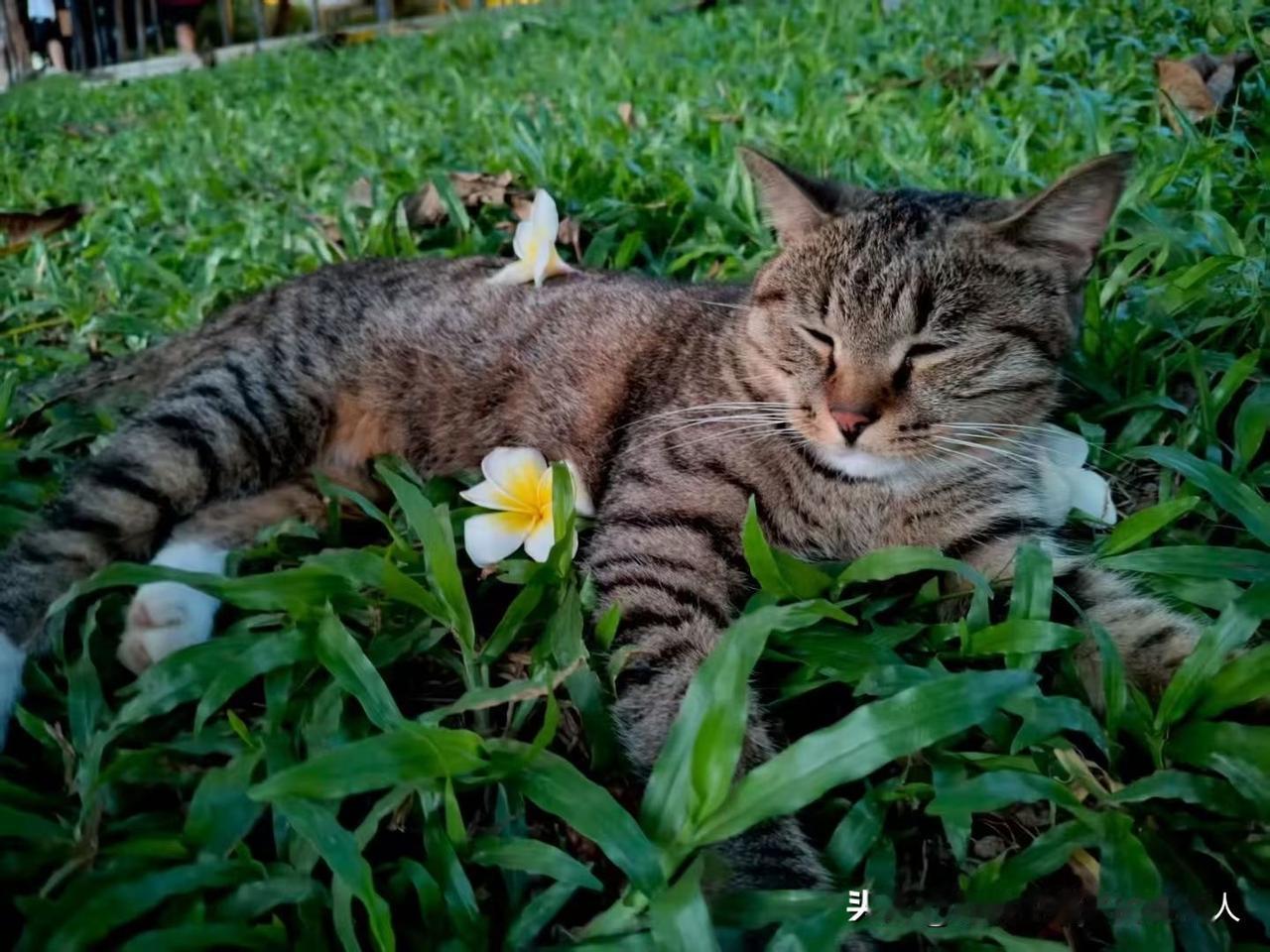 闺蜜又叫我去她家吃饭，我直接拒绝了，因为我特别烦她家老公!​用现在网络上流行的