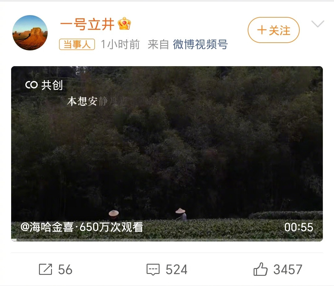 李亚鹏离婚之前见过好多明星官宣离婚，用共创这种方式官宣的网友也是第一次见，可以说
