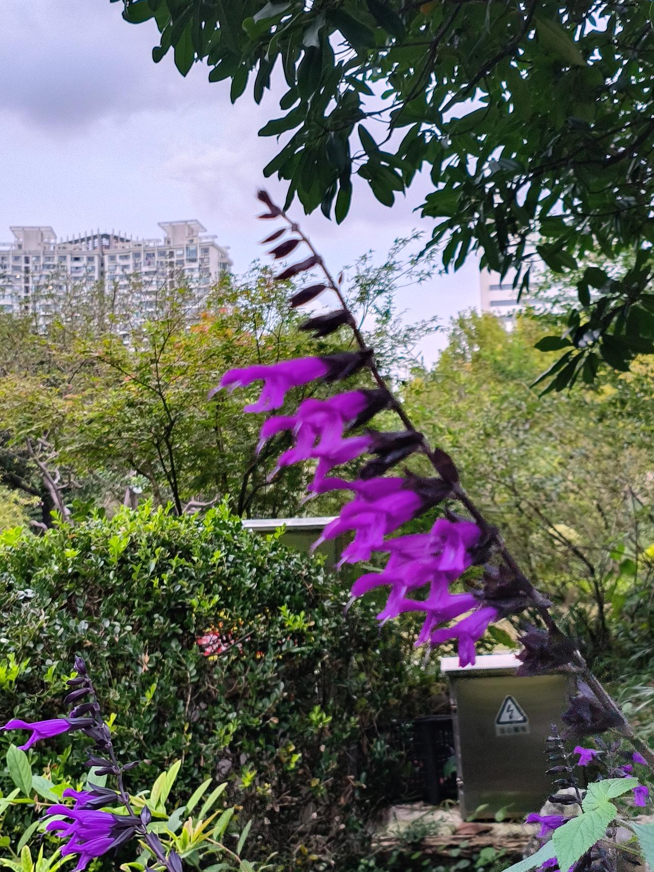 秋日徒步随手拍实景图分享！秋日美景随手拍实景图分享！