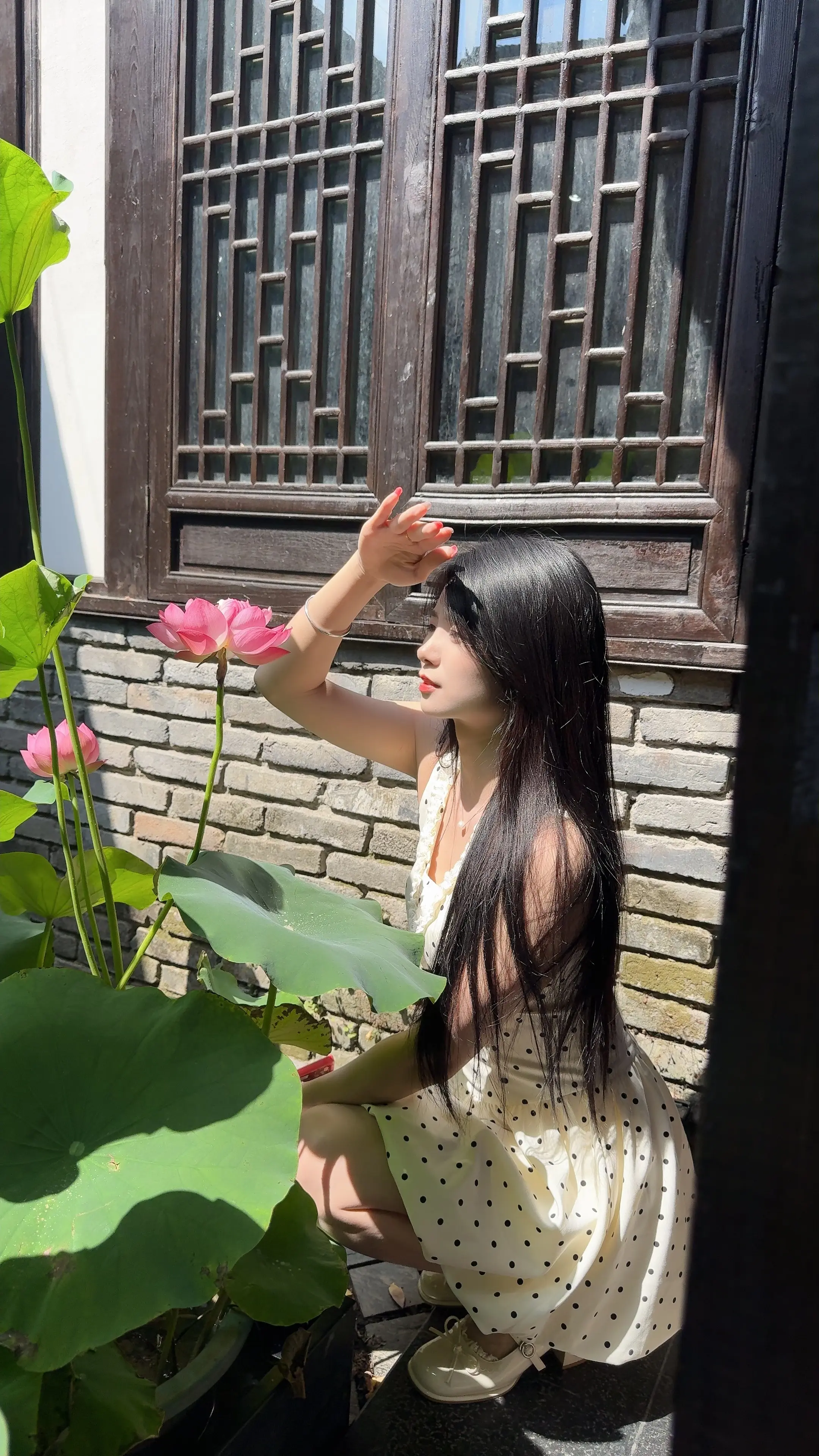 荷花又开了，我等的人你什么时候来