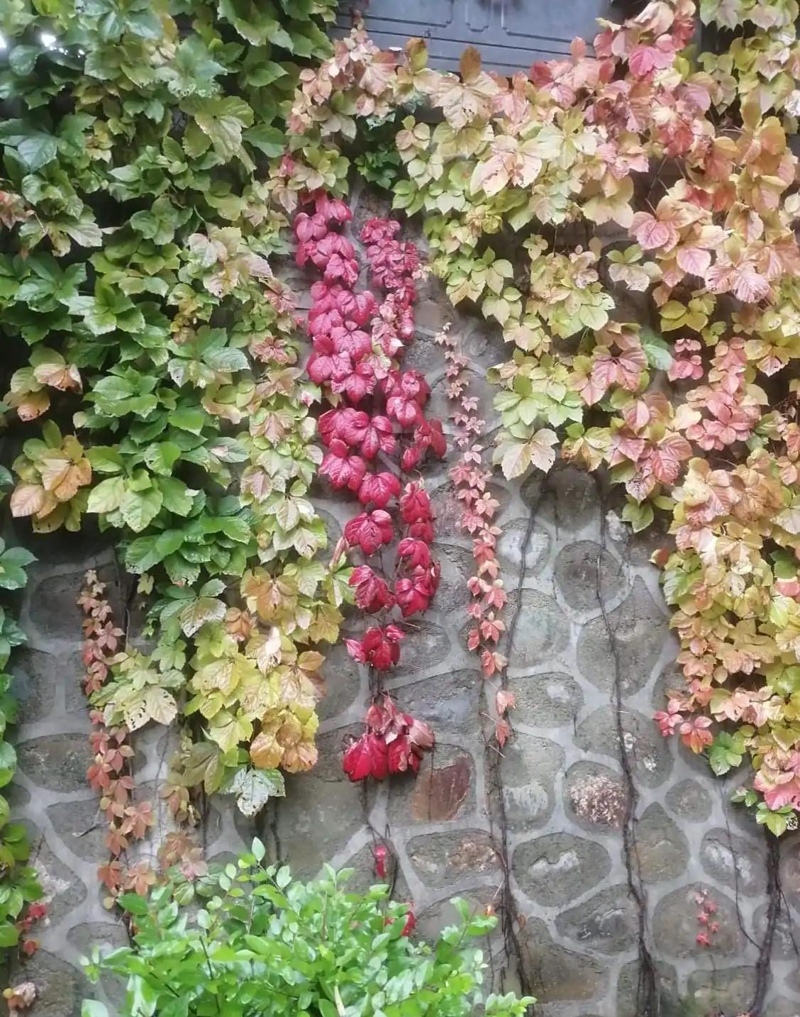 2. 诗词歌赋句句香。3. 柴米油盐事事安。4. 风花雪月景景幽。5. 酸